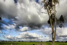 意大利女足遇挫，备战下一场比赛